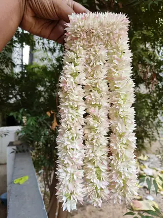 Floral Bridal hair flower