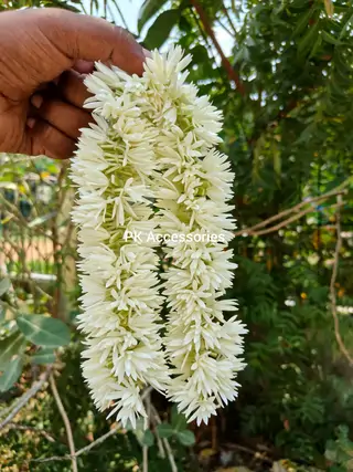 Foam oosi malli