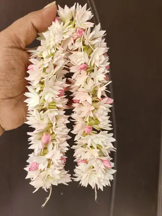Colored Jasmine flower
